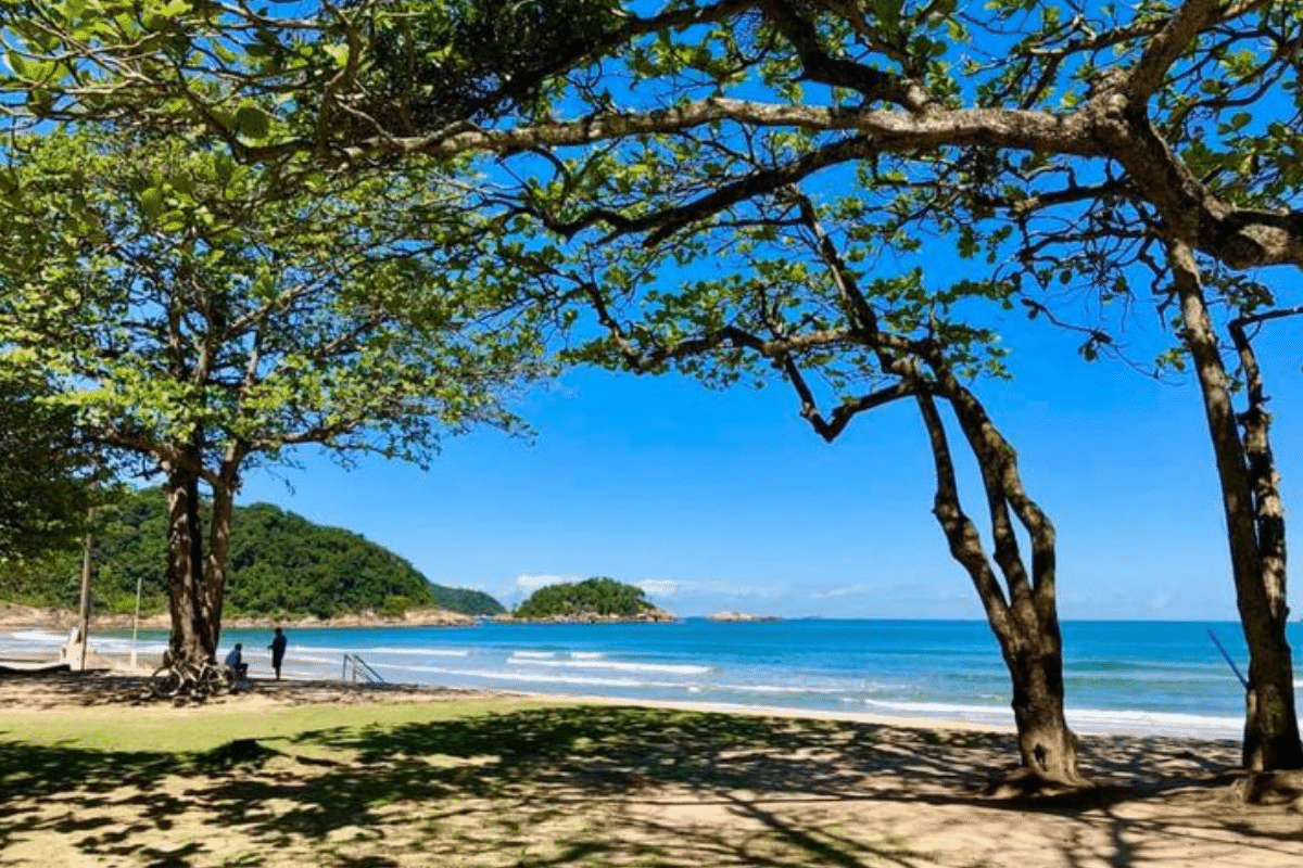 Descubra O Guarujá Em 5 Dias Seu Roteiro Completo