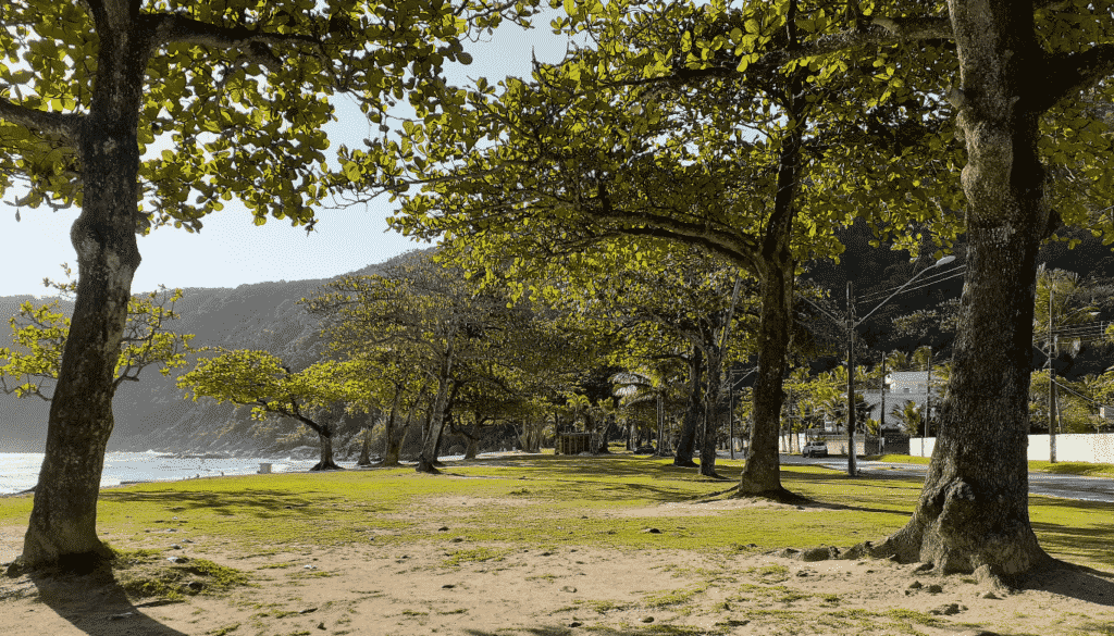 Praia do Guaiúba - Portal