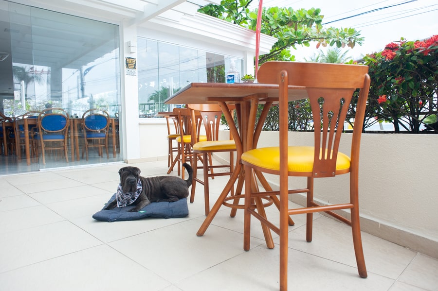 Pet Friendly Doral Guarujá