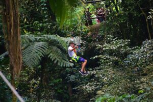 Parque do Conde: um passeio para quem ama a natureza!