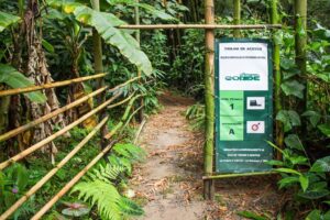 Parque do Conde: um passeio para quem ama a natureza!