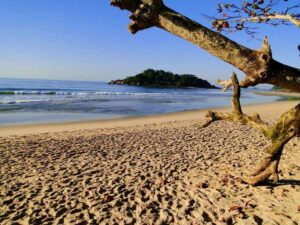 Trilhas no Guarujá: veja as principais para fazer na cidade!