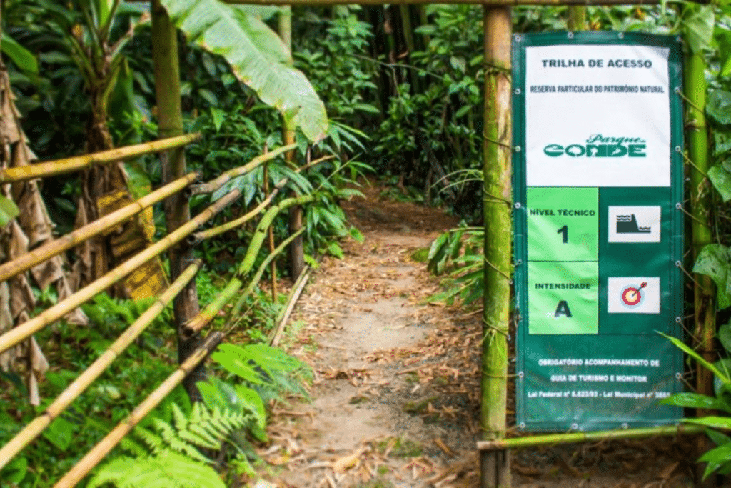 Ilhabela ou Guarujá: Guia para as Melhores Trilhas e Experiências de Ecoturismo