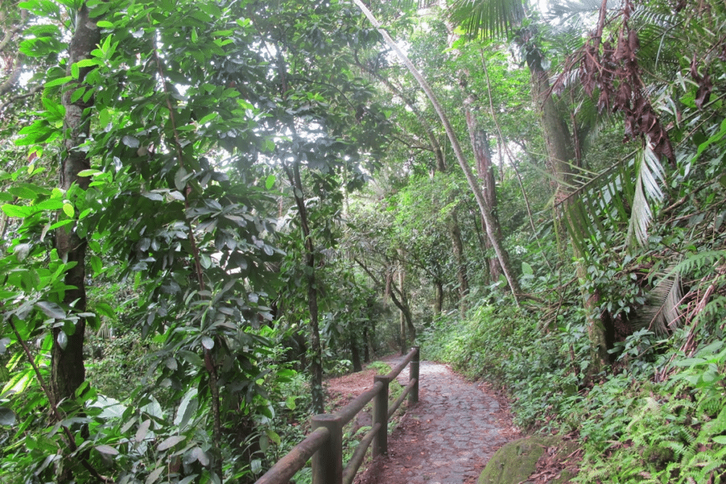 Quais atividades esportivas são populares no Guarujá ?