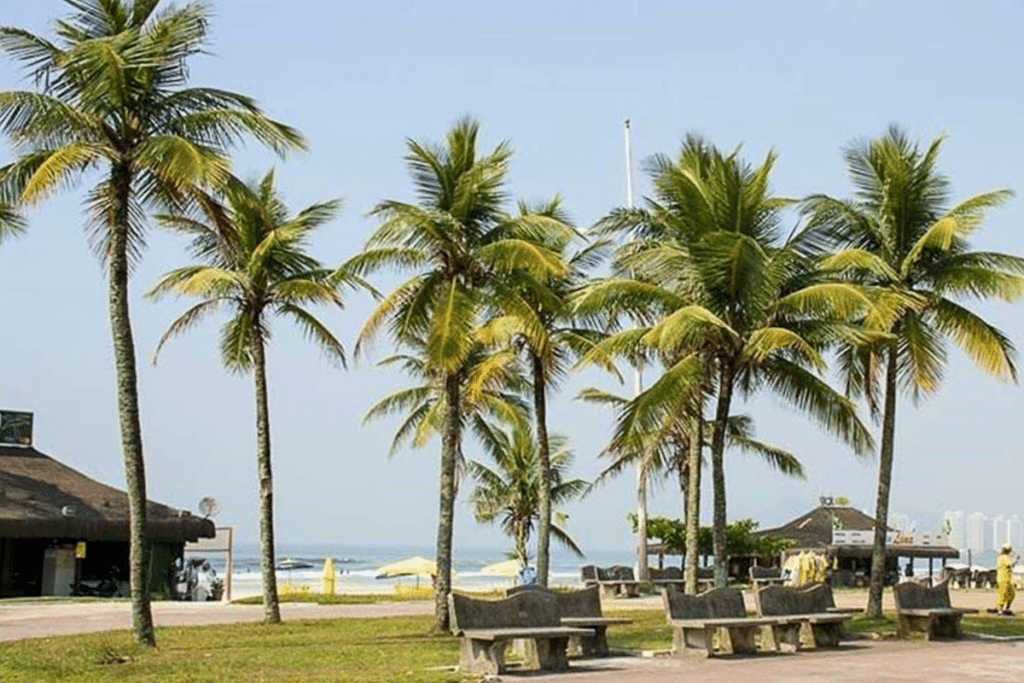 Melhores épocas do ano - Praia da Enseada