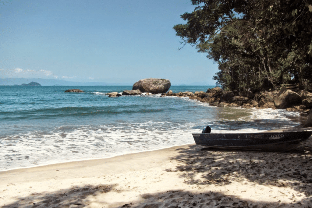 Explorando a Serra do Guararu: Uma Aventura Ecológica no Guarujá