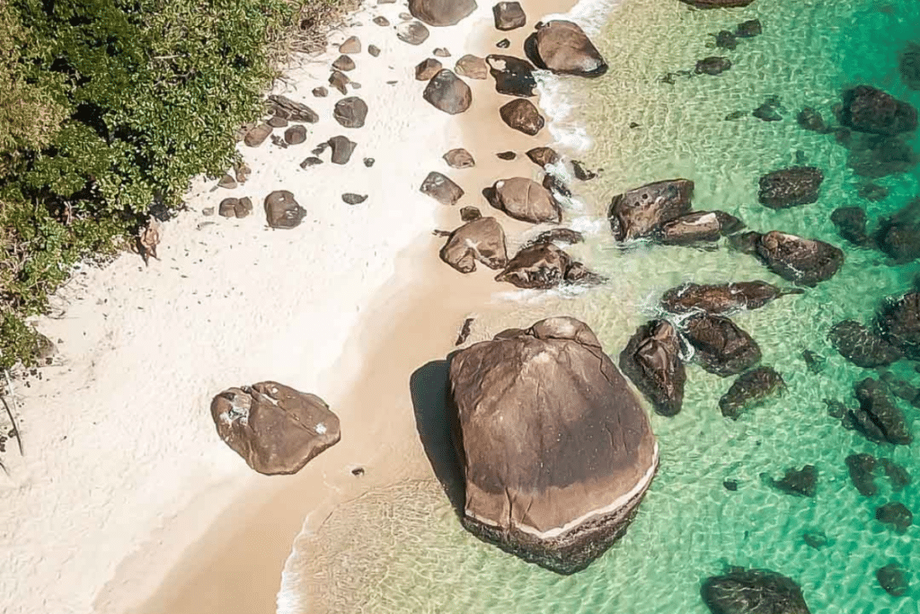 a beach with rocks and water