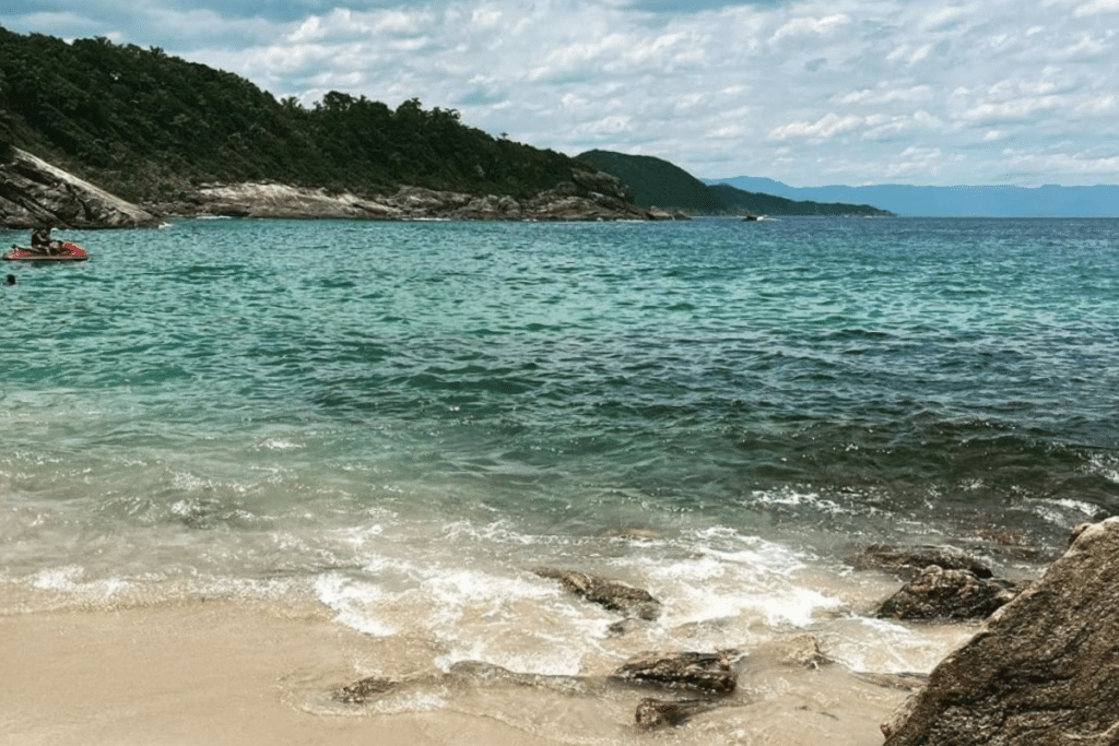 a beach with rocks and water