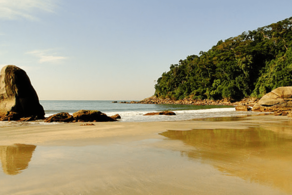 Entretenimento sobre as Ondas: Guarujá e Bertioga em Foco