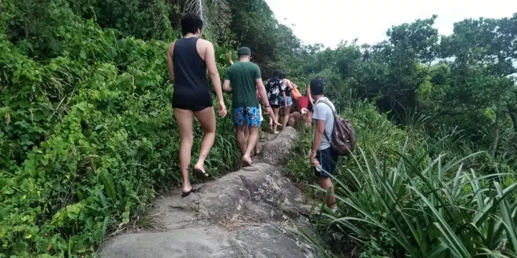 Conheça a Trilhas e Passeios Ecológicos no Guarujá