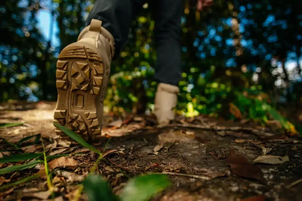 Conheça a Trilhas e Passeios Ecológicos no Guarujá